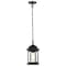 Nuvo Hopkins Outdoor Hanging Lantern 1 Light Matte Black Finish 60/6117 - alternate 6